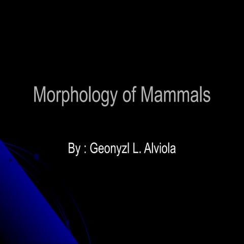 Morphology Of Mammals