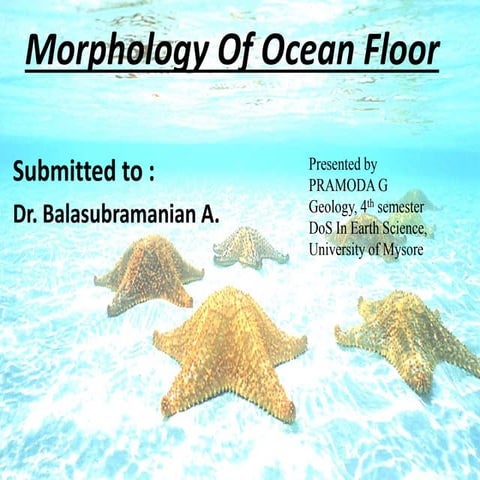 Morphology of ocean floor