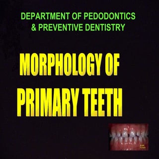 Morphology of primary teeth  pedodo...