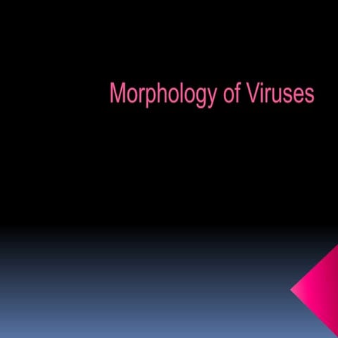 Morphology of virus