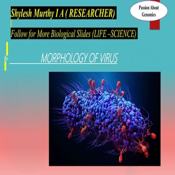 Morphology Of Viruses : Viruses, structure and characteristics