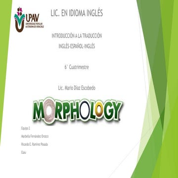 Morphology  presentation