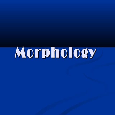 Morphology 