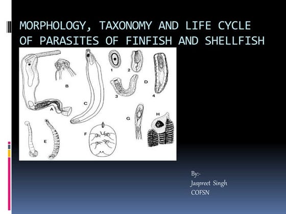 PARASITIC DISEASES OF FISHES.pptx | Fish and Aquariums | Pets