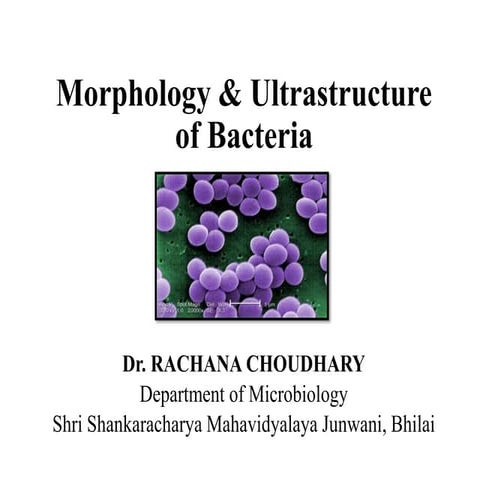 Morphology & Ultrastructure of Bacteria