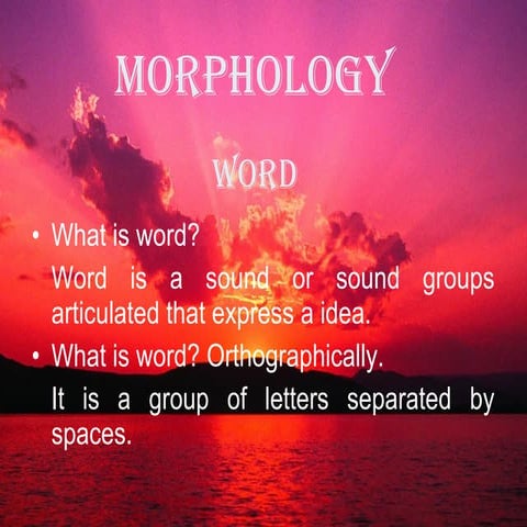 Morphology web