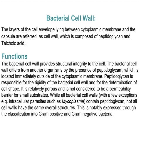 cell wall of bacteria 