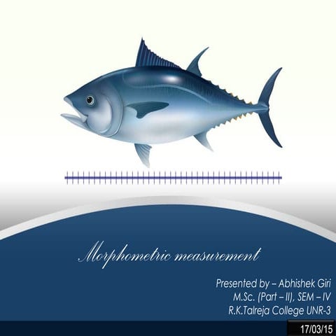 Morphometric measurement of fishes