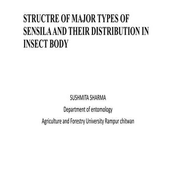 structure and type of sensila and their distribution in insect