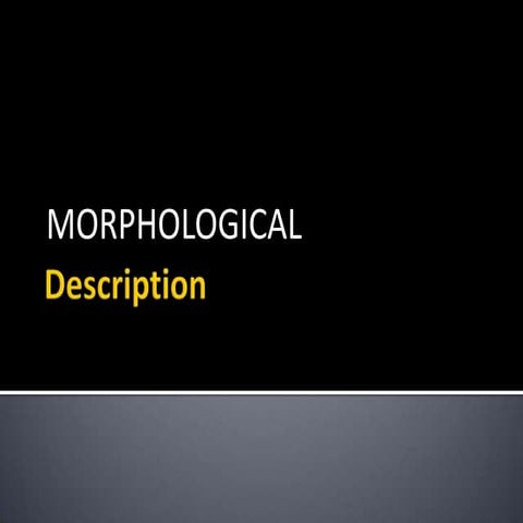 Morphs and allomorphs