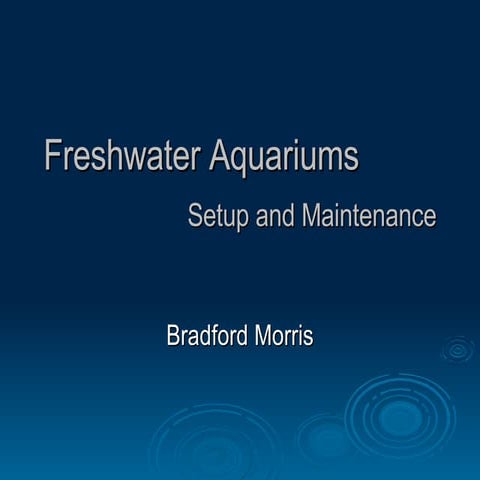 Freshwater Aquariums