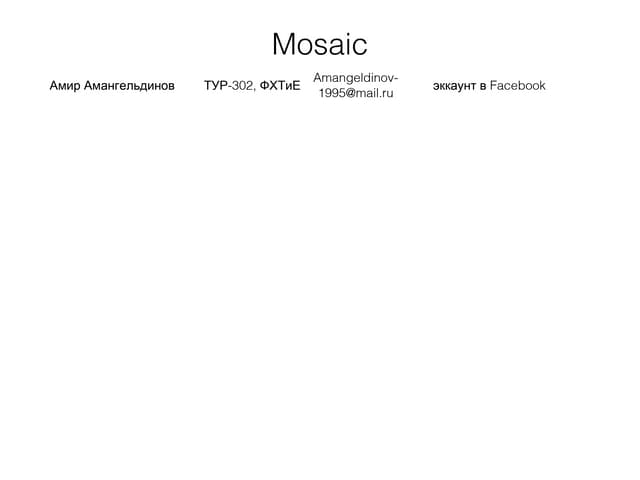 амангельдинов амир+Mosaic+предприни...