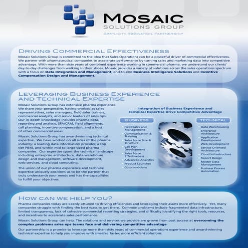 Mosaic Solutions Group 