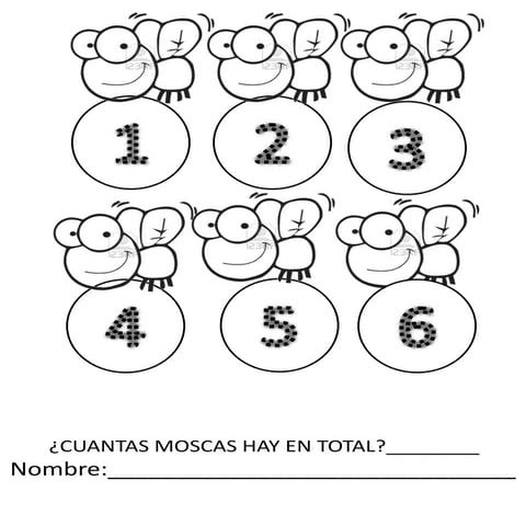 Moscas y constelaciones