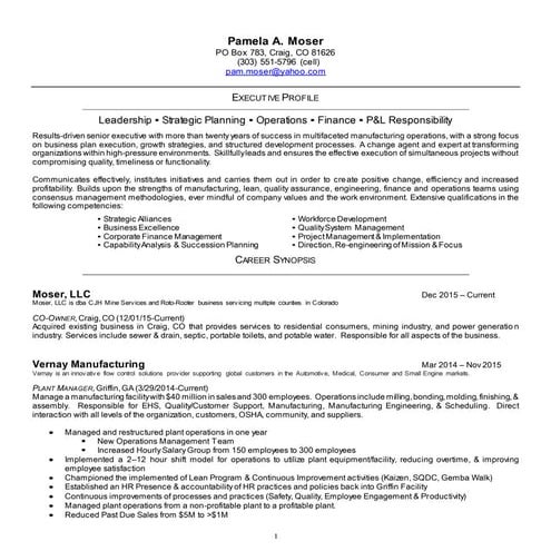 Pam Moser Resume May 2016