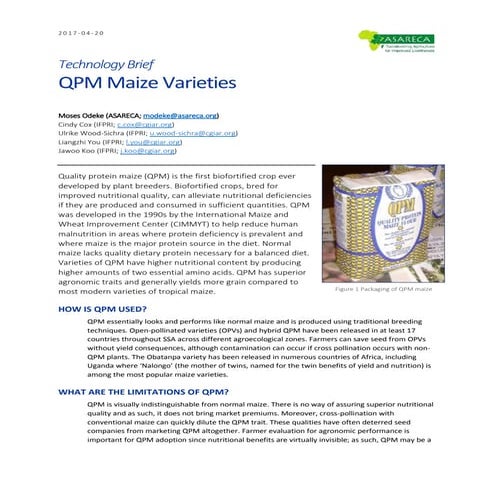 Technology Profile QPM