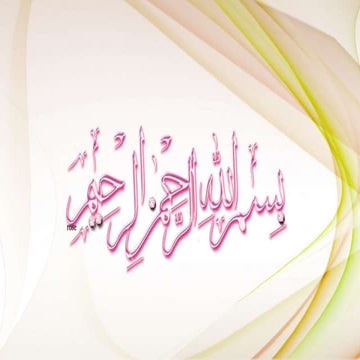 column and strut difference between  them