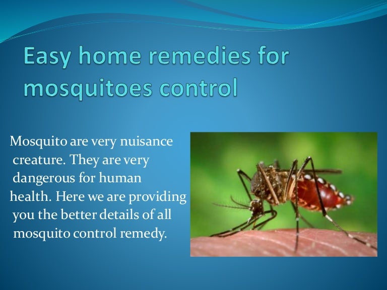 Easy home remedies for mosquitoes control