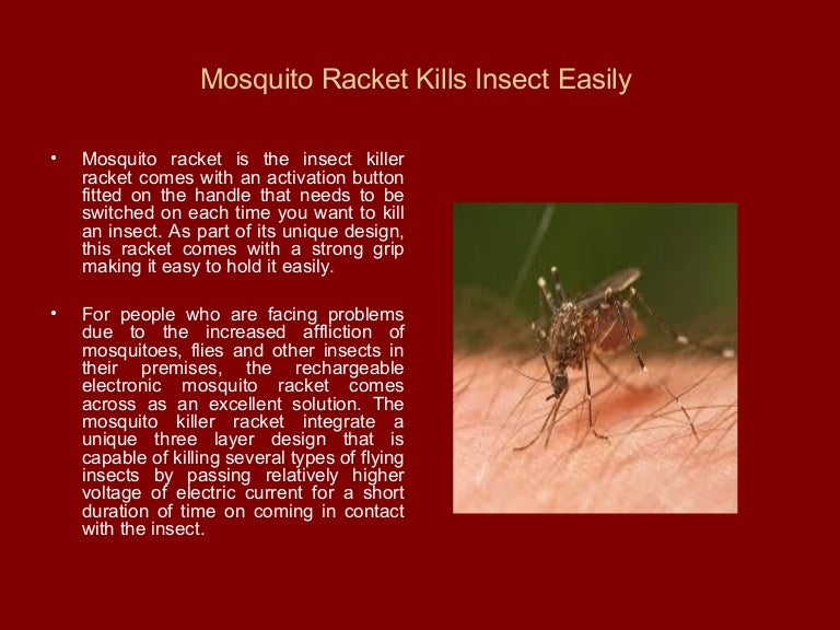 Mosquito racket kills insect easily