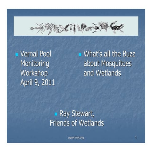What's all the the buzz about mosquitos and wetlands