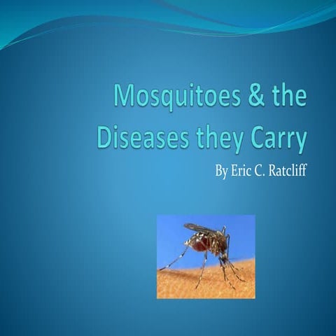 Mosquitos and the Diseases they Carry