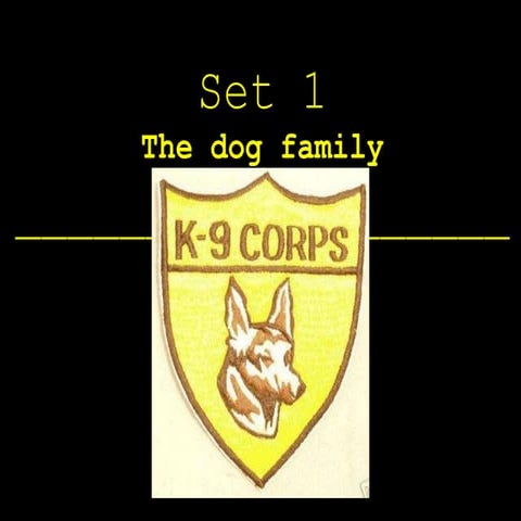 Moss   Week 09   Final With Answers