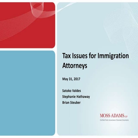 Tax issues for immigration lawyers