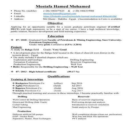 Mostafa hamed. updated resume