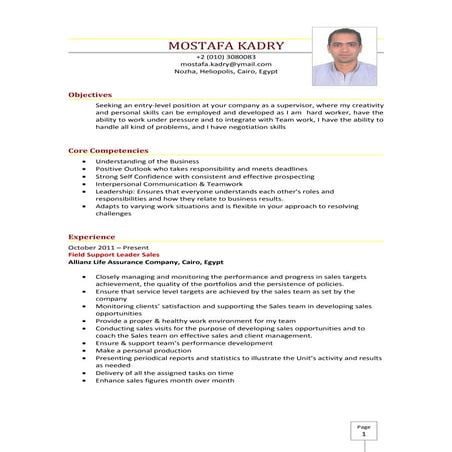 Mostafa Kadry CV | DOC