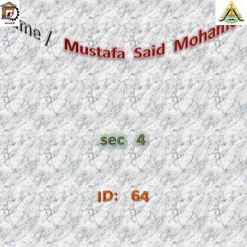 Mostafa Saeed Mohamed 