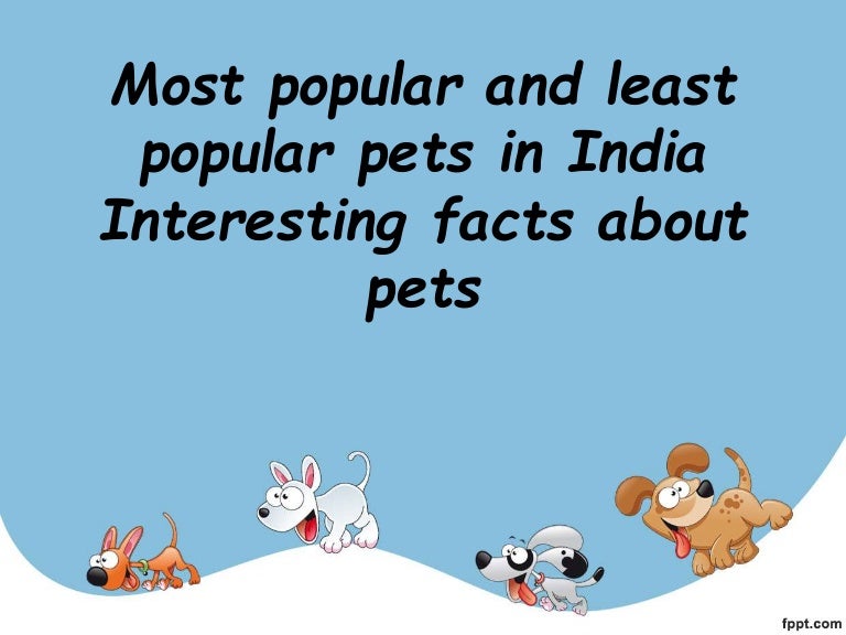 Most popular and least popular pets in india