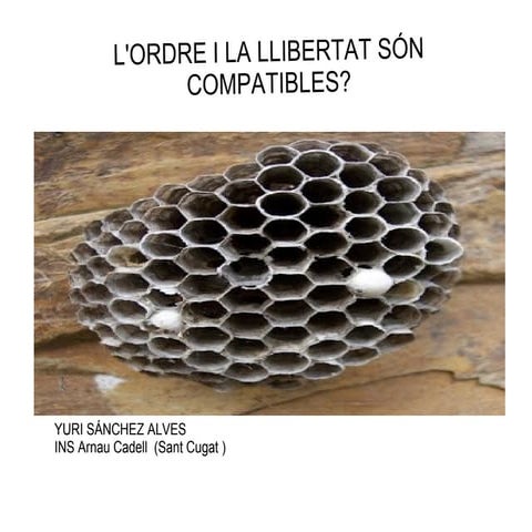 Mostra fotofilosofia arnau cadell 2016