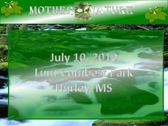 Mother Nature Festival