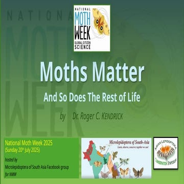 National Moth Week 2025 - Moths Matter presentation