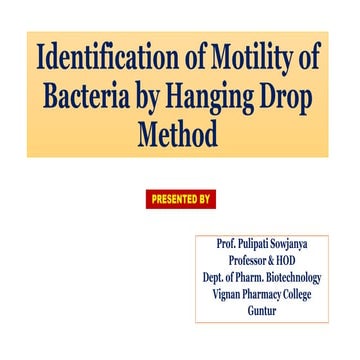 Identification of Motility Characteristics of bacteria