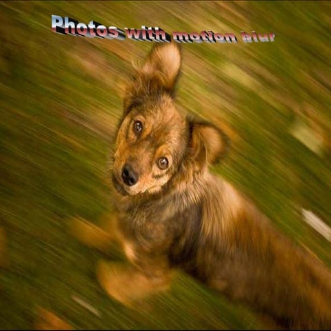 Motion blur photography-(catherine)