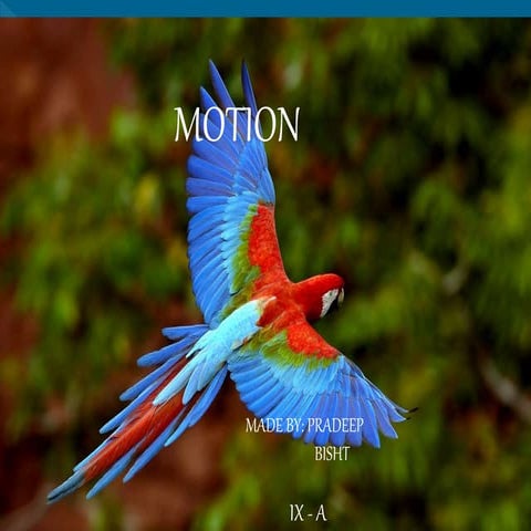 presentation on motion