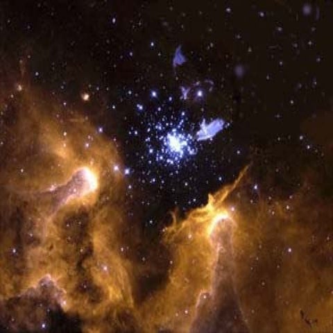 Motivation & Emotion