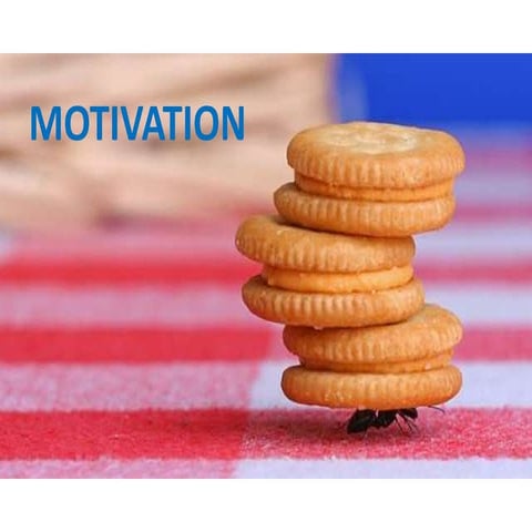 Motivation