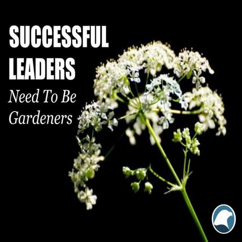 Successful Leaders Need to be Gardeners