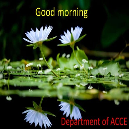 Motivation and how to get a scholarship_Rafiquel Islam_Australia