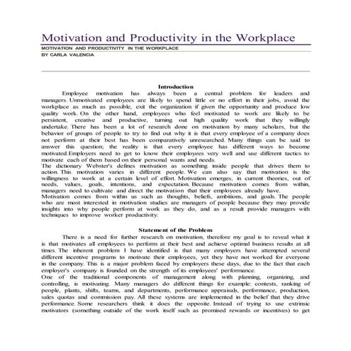 Motivation and productivity in the workplace