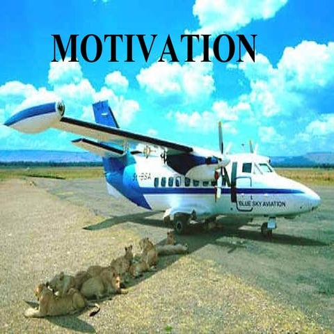 Motivation and values