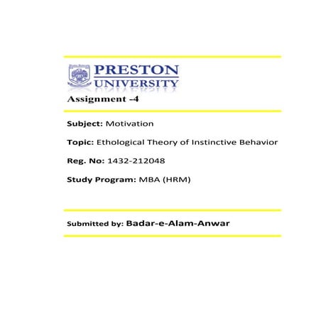 Motivation assignment 4