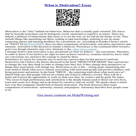 Motivation Essay Example