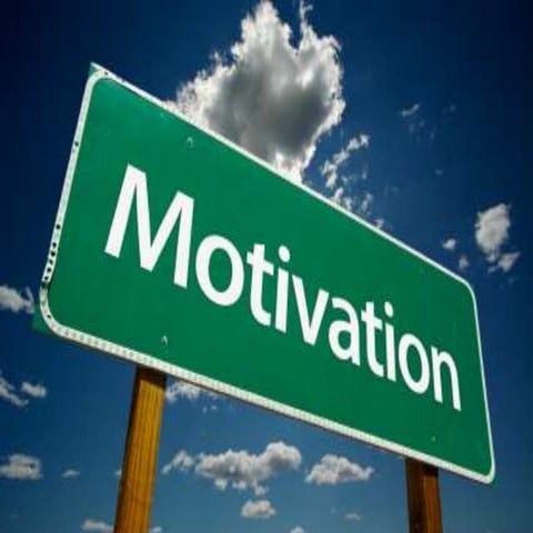 Motivation theory
