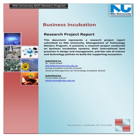 Business Incubation System (Mot masters research project report )