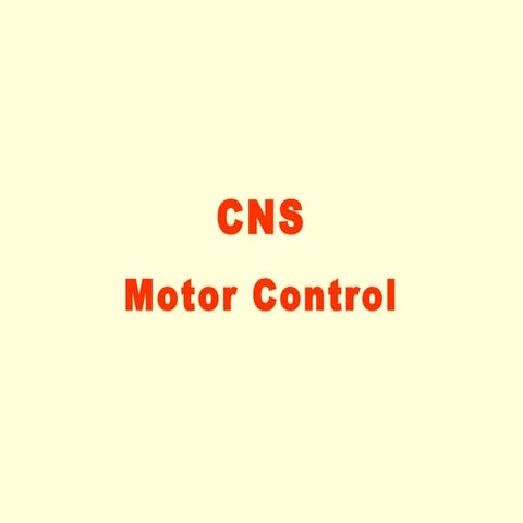 Motor control-09-10
