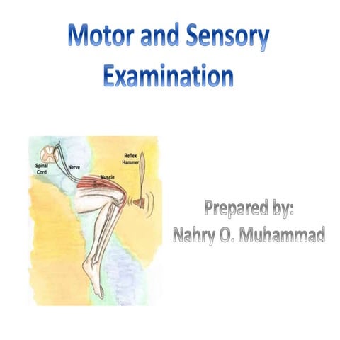 Motor and sensory examination, Examination of reflexes