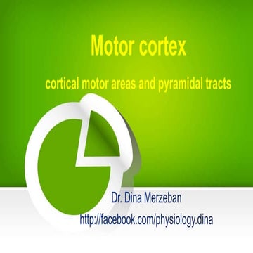 Motor cortex areas and physiology of stroke